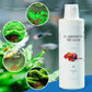 Algicide efficace pour aquarium🌿