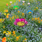 🔥Abreuvoir pour abeilles et papillons avec motif floral✈️