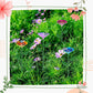 🔥Abreuvoir pour abeilles et papillons avec motif floral✈️