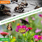 🔥Abreuvoir pour abeilles et papillons avec motif floral✈️