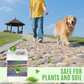 🌿 PROMO LIMITÉE 50% DE RÉDUCTION ! 🧪 Colle Paysage Ultra-Rapide 500g – Adhésif Imperméable pour Paillis, Cailloux & Décoration Extérieure, Séchage 2h 🌧️