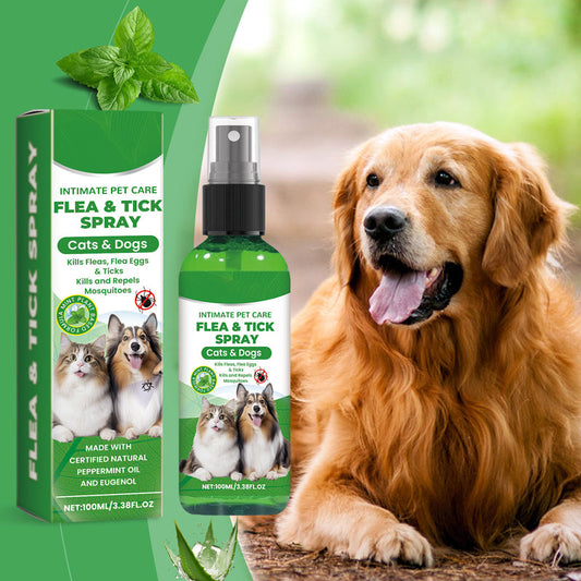 🔥Spray naturel contre les puces et les tiques pour chiens et chats✈️