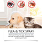 🔥Spray naturel contre les puces et les tiques pour chiens et chats✈️