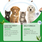 🔥Spray naturel contre les puces et les tiques pour chiens et chats✈️
