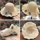 🔥Élégant Chapeau de Paille au Crochet avec Détail à Volants✈️