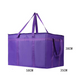 Grand Sac Isotherme de Livraison Alimentaire