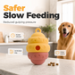 Jouet interactif pour animaux de compagnie : mangeoire à alimentation lente et jouet à mâcher