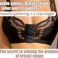 Soutien-gorge modelant à boutons en dentelle sur le devant